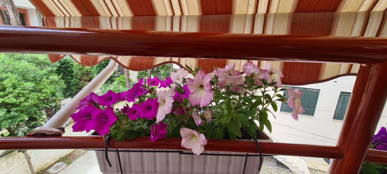 Apartment Family In Golem Golem (Tirana)
